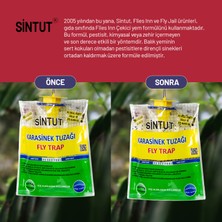 Sintut 5 Adet Sintut Medium | Karasinek Tuzağı