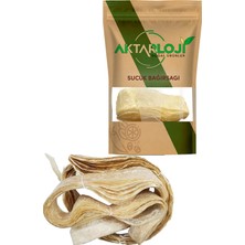 Aktarloji Geleneksel Sucuk Yapımı Seti 1 kg Kıyma İçin Acılı 75 gr Baharat Harcı İp ve Sucuk Bağırsağı