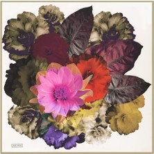 Aker Sport Tivil Eşarp 7564-951