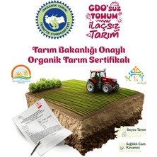 Motherese Motheres  Tatlı Biber Salçası 620gr