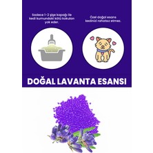 Kedi Kumu ve Tuvaleti Koku Giderici Granül, Lavanta Ferahlatıcı Etkili, Kokusuz Tuvalet Için, 250ML