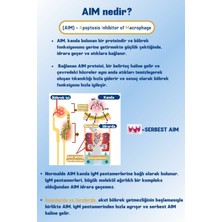 Sunrise AIM30 Kedilerin Böbrek Sağlığının Korunmasına Katkıda Bulunan Toz Gıda Takviyesi