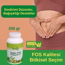 Fibrelle Inülin Fos Prebiyotik Lif 250 Gr