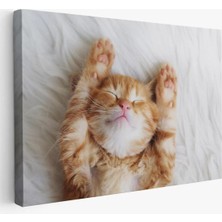 Yavru Kedi Dekoratif Kanvas Tablo 1125