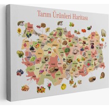 Tarım Ürünleri Yerli Malı Haftası Türkiye Haritası 1046