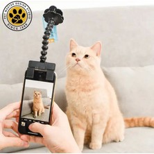 Ödül Maması Tutacağı , Kedi Köpek Selfie Çubuğu