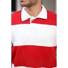 3 Ip Parçalı Düğmeli Polo Yaka Sweat