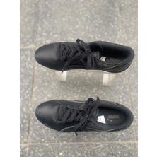 Puma Roma