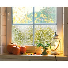 D-C-Fix 176-5151 Dekoratif Halka Desen Kendinden Yapışkanlı Cam Folyo ( 90  cm  x 1 mt )
