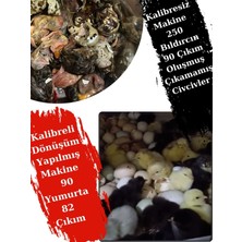 Aksale Evonest Kuluçka Makinesi 120-130 Tavuk Yumurtalı Kaz Ördek Bıldırcın Uyumlu Kuluçka (8 video + destek)