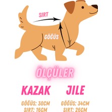 Lady Fify Kedi Köpek için Yün Maşa Kostümü