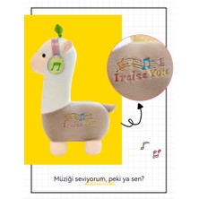 Love Chen 23CM Kulaklık Alpaka Bebek Peluş Oyuncak (Yurt Dışından)