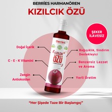 Berrie's Kızılcık Özü 700 gr