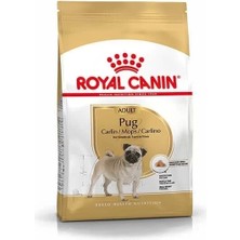 Royal Canin Pug Adult Yetişkin Köpek Maması 1.5 kg