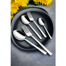 Asya 60 Parça 12 Kişilik Çelik/ Çatal&kaşık Kutulu Lüx