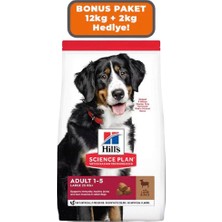 Hills Kuzu Etli Büyük Irk Yetişkin Köpek Maması 14 kg