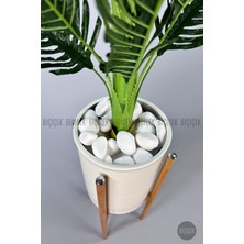 150 cm Areka Ağacı Ayaklı Metal Saksıda