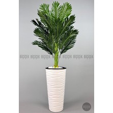150 cm Areka Ağacı Kumsal Saksıda