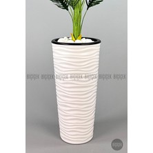 150 cm Areka Ağacı Kumsal Saksıda