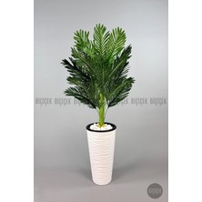 150 cm Areka Ağacı Kumsal Saksıda