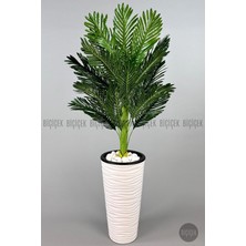 150 cm Areka Ağacı Kumsal Saksıda
