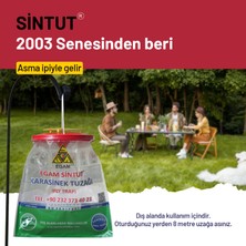 Sintut 2 Adet Sintut L | Karasinek Tuzağı