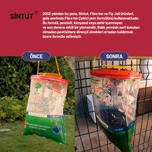 Sintut 2 Adet Sintut L | Karasinek Tuzağı