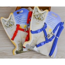 Home Pazar Kedi Tasması