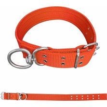 Atik Camp Savex Dokuma Köpek Boyun Tasması Turuncu 5*80 cm