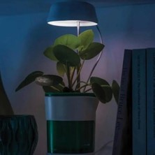 Bahçe Bakımı İçin Hızlı Bitki Yetiştirme Bahçıvan Saksısı