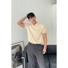 Tarz Cool Erkek Taş Ince Saç Örgülü Slim Fit Polo Yaka Triko T-Shirt
