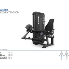 Voit Profitness A3002 Leg Extension