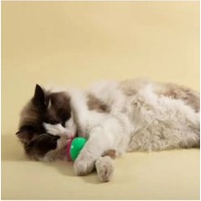 Kedi Oyuncağı Fare Desenli Hacıyatmaz