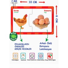 Eğitici Ilişki - Bağlantı Kurma Bulmaca Eşleştirme 2-6 Yaş - Eğlenceli Resimli Puzzle Zeka Kartları