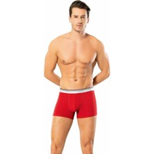 Look Sense Erkek Dude Renkli Likralı Boxer 1300