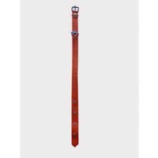 Tasma Atalier Büyük Boy Köpek Tasması 45 – 60cm