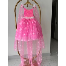 Ayliz Kostüm Evi Kız Çocuk Pembe Elsa Frozen Kostüm, Karlar Kraliçesi Doğum Günü Konsepti, Asa Set Hediyeli