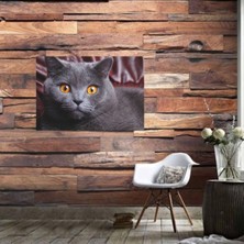 Ahşap Retro Mdf Poster , Komik Sözler , Duvar Yazıları , Manzara ,  Tarih , Edebiyat - TBL0657