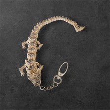 Dna Studio 3D Dragon Figür Anahtarlık