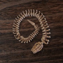 Dna Studio 3D Yılan Iskeleti Figürü