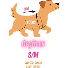 Lady Fify Kedi Köpek için Aslanlı Yeşil Hırka