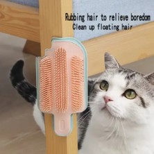 Kedi Otu Hazneli Kedi Kaşınma Aparatı