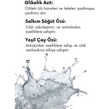 Synora Mat Ciltler İçin Cilt Bakım Seti