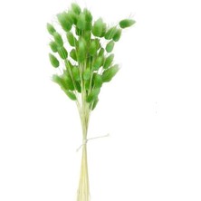 İpek Hobi  Yeşil   Doğal Kuru Pamuk Otu 1 Bağ