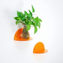 Trend Pleksi Oval 2'li Duvar Raf (Transparan Turuncu)