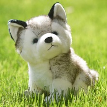 Mrsivdi Fang Fang Gerçekçi Husky Köpek Doldurulmuş Oyuncaklar Peluş Hayvanlar Çocuk Oyuncakları Çocuk Yumuşak Kawaii Kurt Evcil Hayvan Bebek Sevimli Çocuk Oyuncakları Kız Erkek Için (Yurt Dışından)