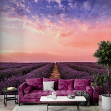 Lavanta Bahçesi Duvar Kağıdı