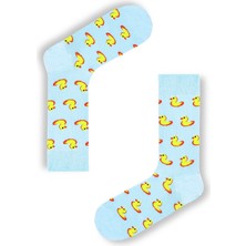 Carnaval Socks Civciv Desenli Renkli Çorap