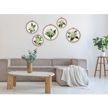 Montisu White Flower, Çiçek Desenli Duvar Dekarasyonu