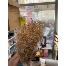 Ahmir Cipso Kuru Çiçek Iri Taneli Süs Dekoratif Görsel (50GR)